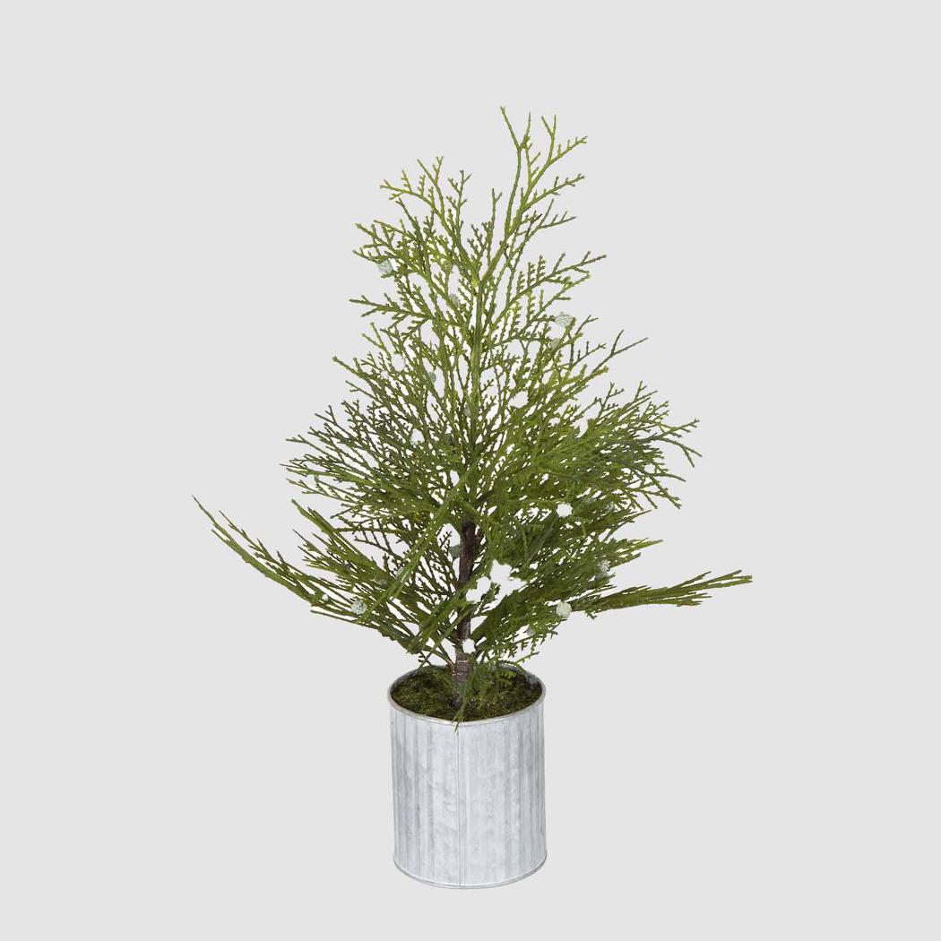 Mini Pine Tree Red Berries with Tin Pot