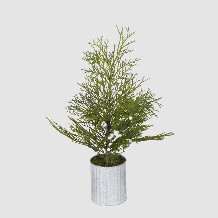 Mini Pine Tree Red Berries with Tin Pot