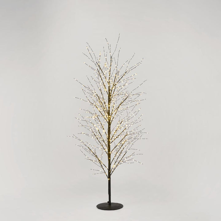 Black Forest Light Up Tree with 900 Lights 150cm