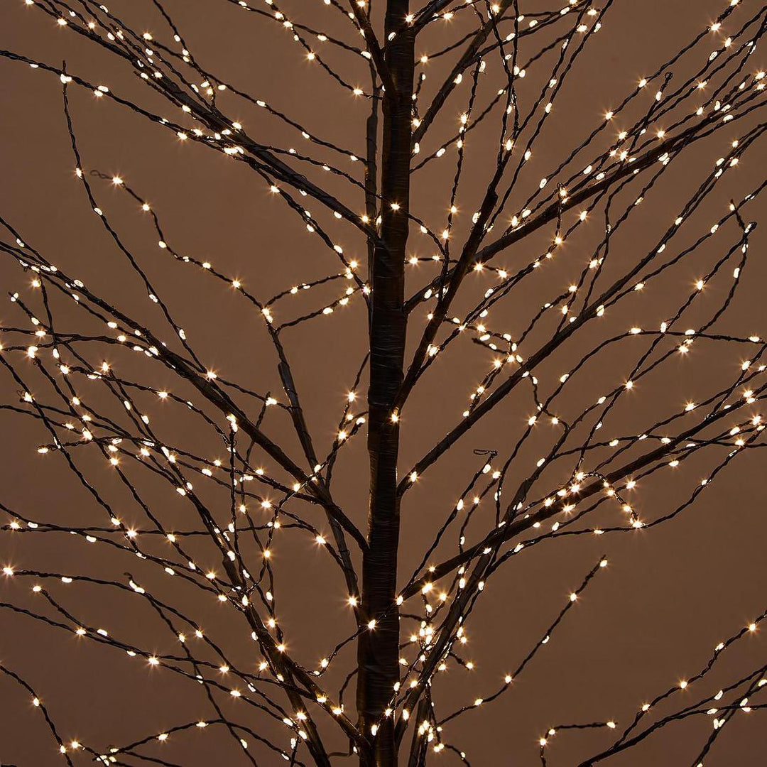 Black Forest Light Up Tree with 900 Lights 150cm