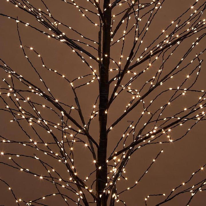 Black Forest Light Up Tree with 900 Lights 150cm