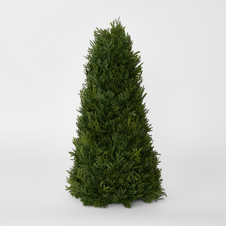 Cypress Cone 43cm