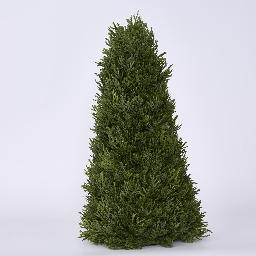 Cypress Cone 43cm