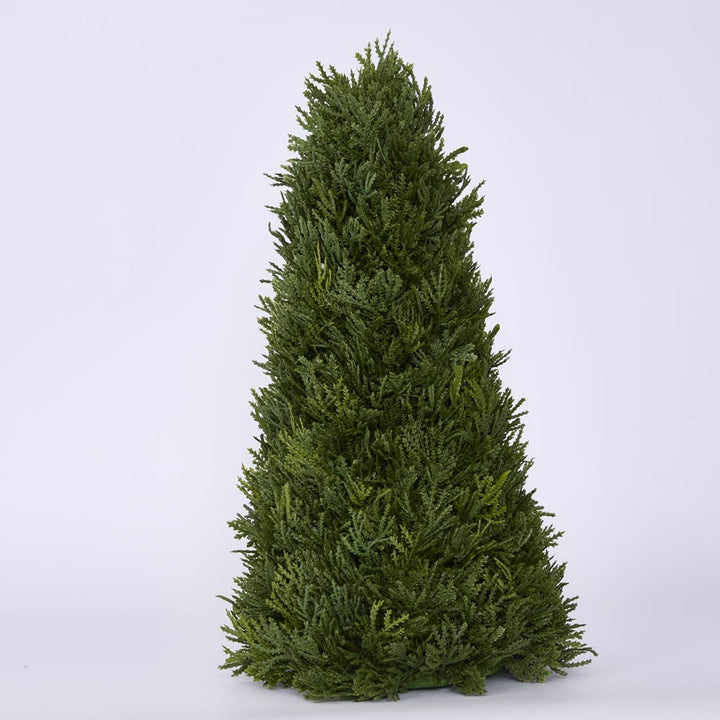 Cypress Cone 43cm