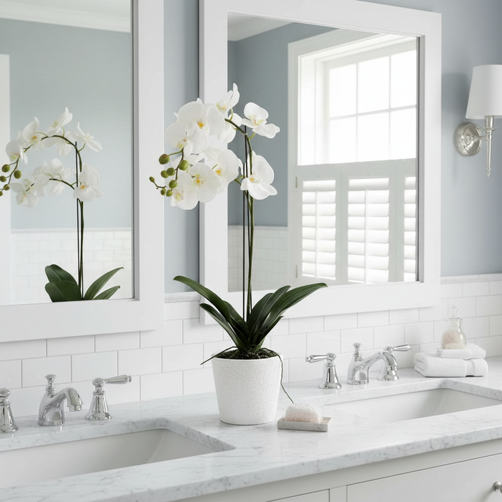 Orchid in Clay Pot 84cm White