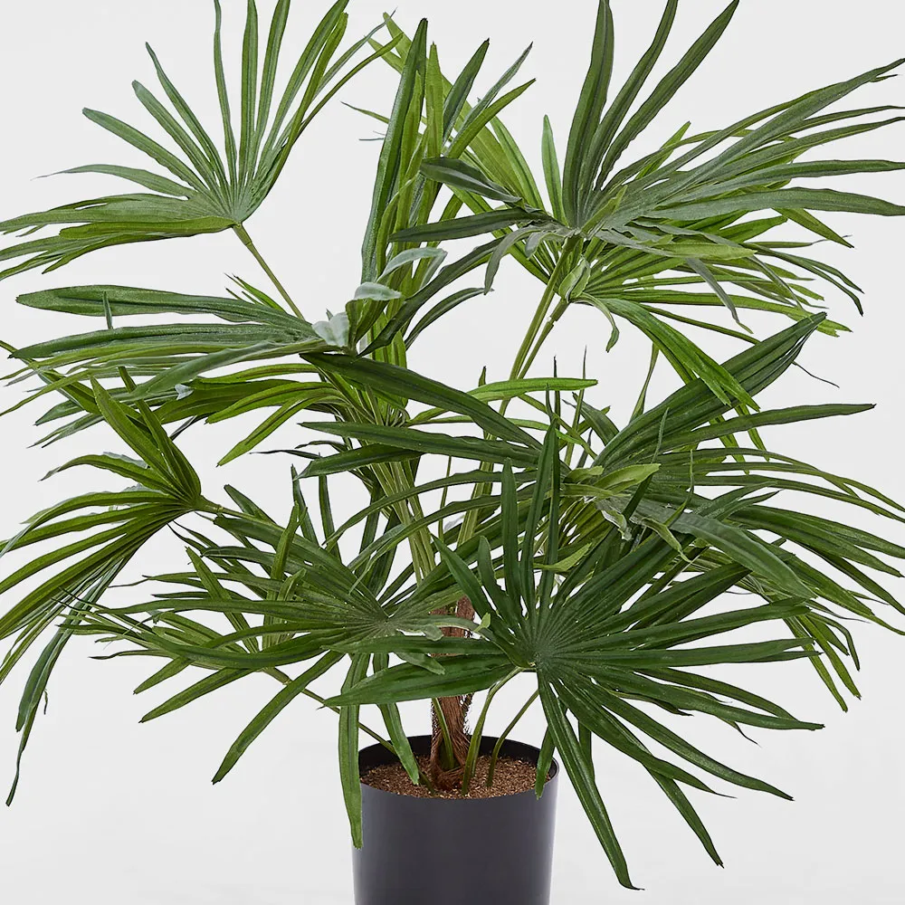 Baby Fan Palm Potted Bush w/17 Leaves 45cm
