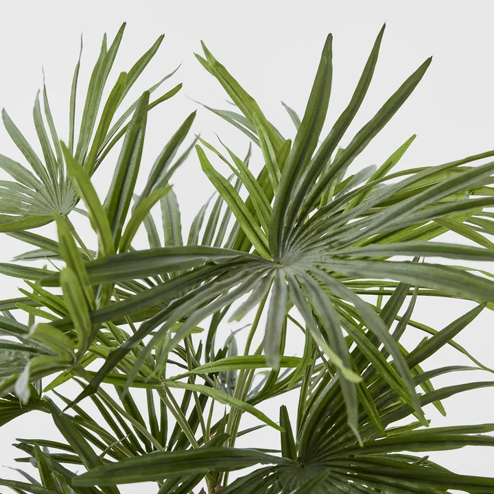 Baby Fan Palm Potted Bush w/17 Leaves 45cm