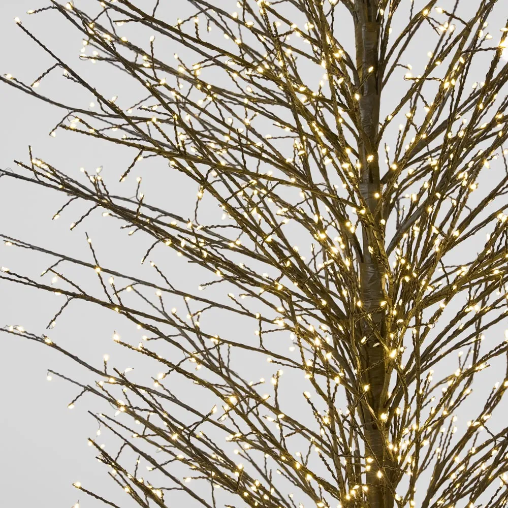 Black Forest Light Up Tree Extra Large 210cm