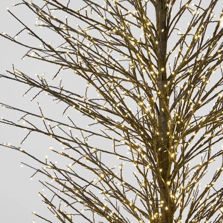 Black Forest Light Up Tree Extra Large 210cm