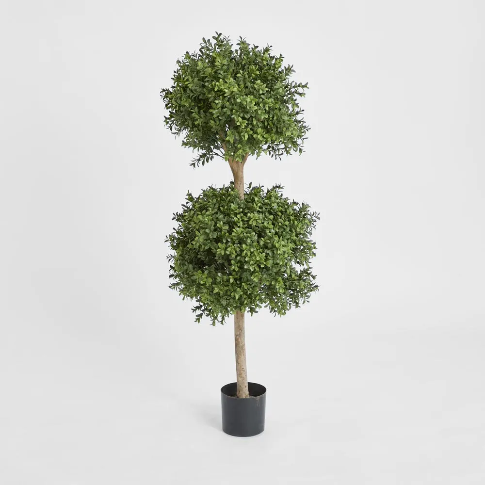 Boxwood Double Ball Tree 1.1m