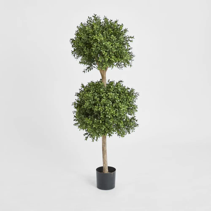 Boxwood Double Ball Tree 1.1m