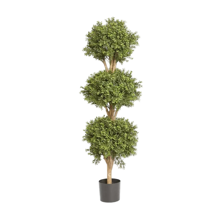 Boxwood Triple Ball Tree 1.2