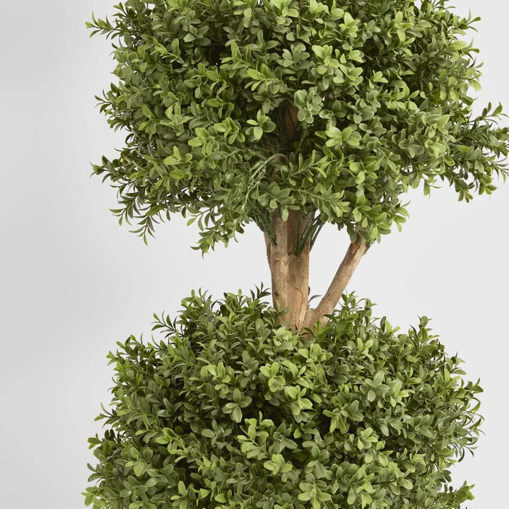 Boxwood Triple Ball Tree 1.2