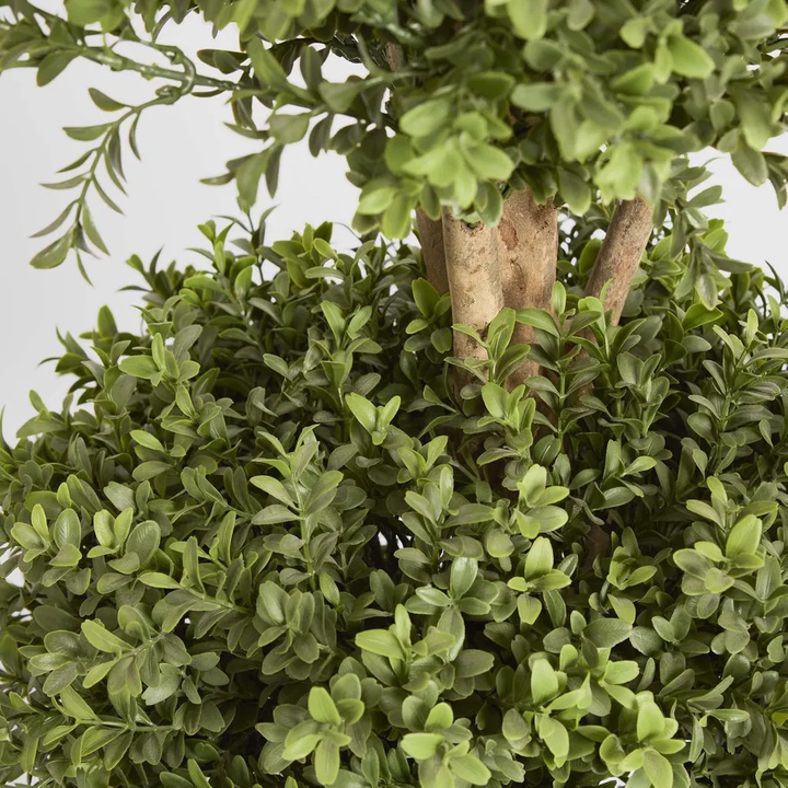 Boxwood Triple Ball Tree 1.2