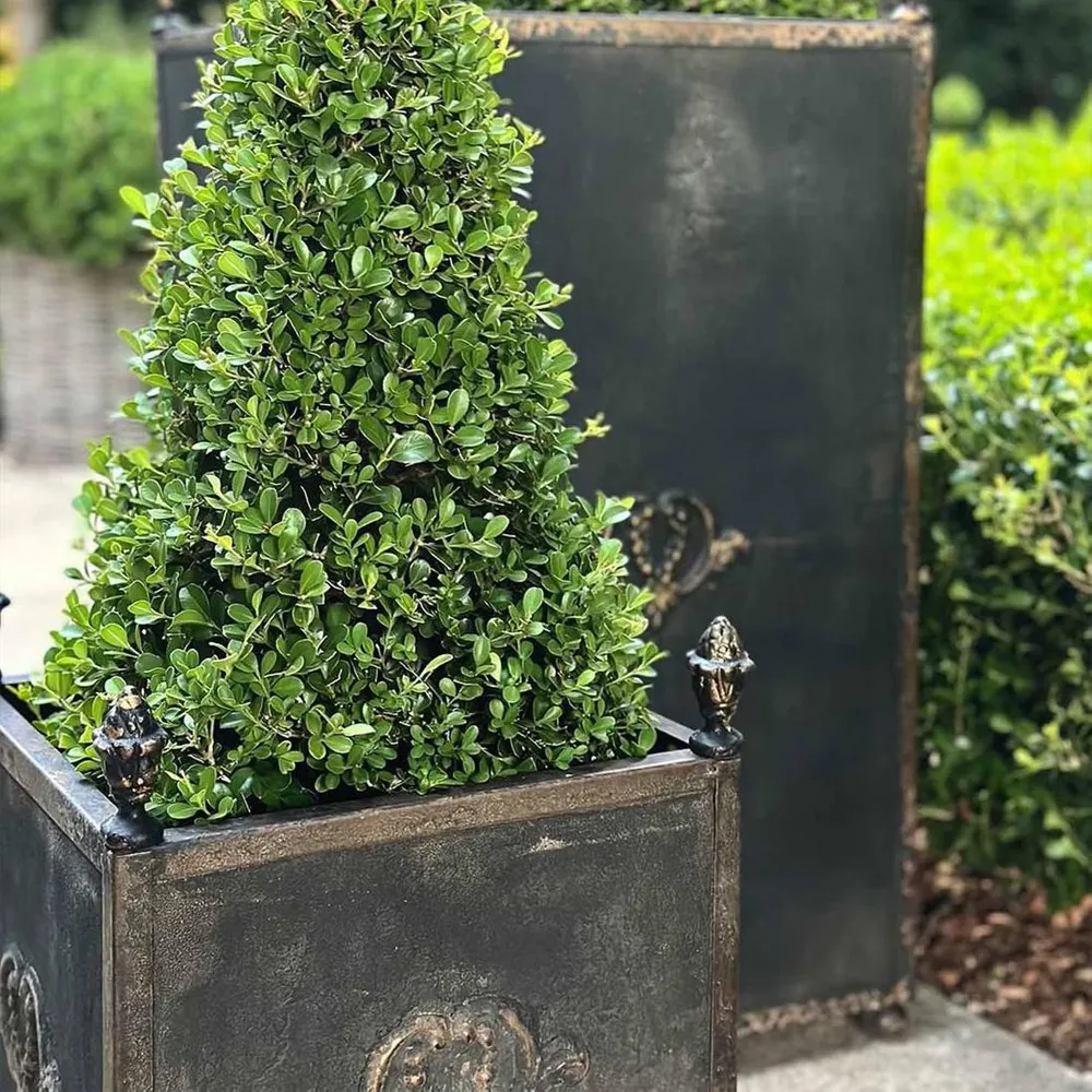 Estate Footed Iron Planters (Set of 3)