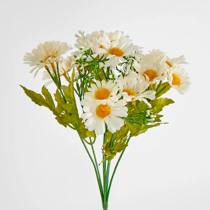 Daisy Bush 32cm White