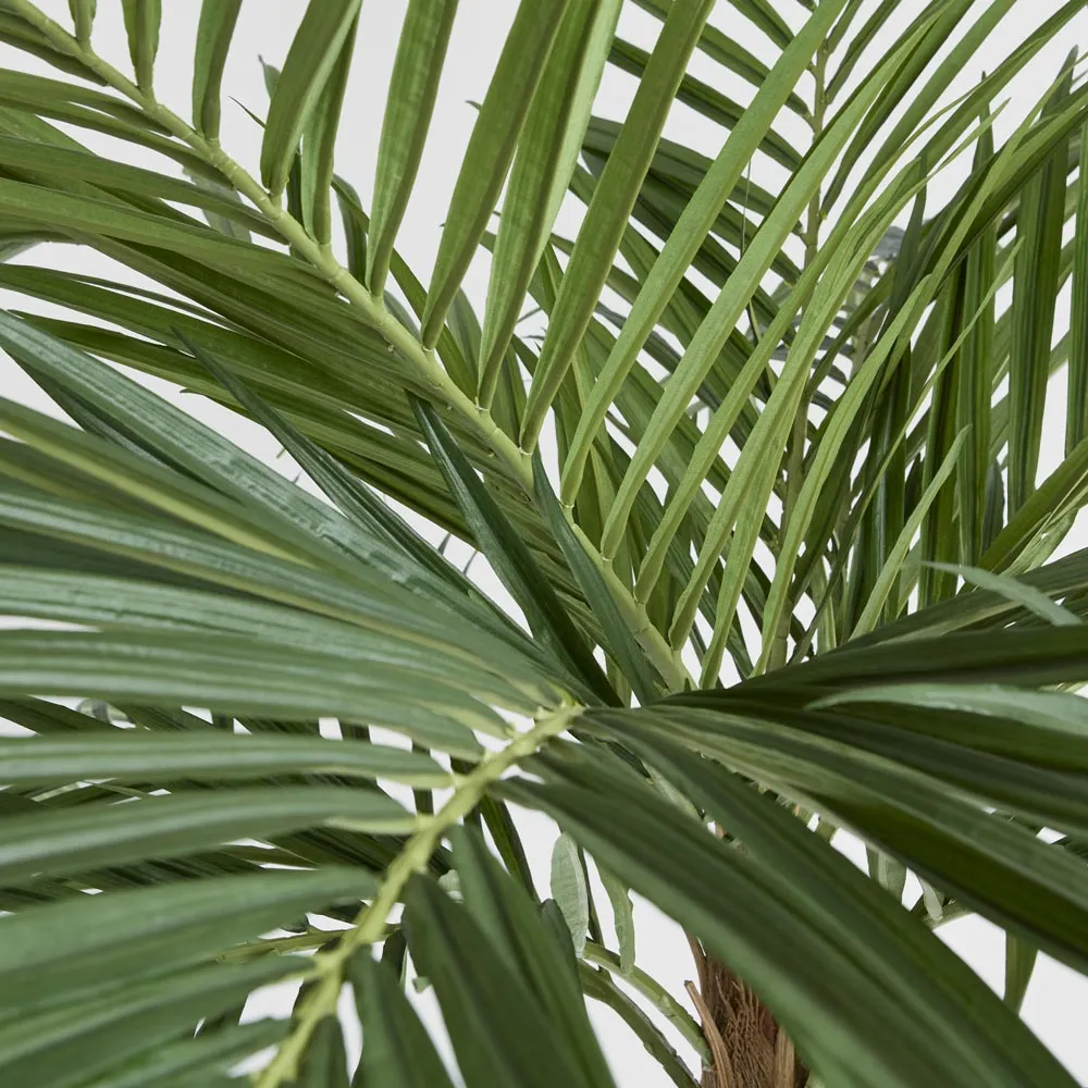 MAJESTY PALM TREE 240CM