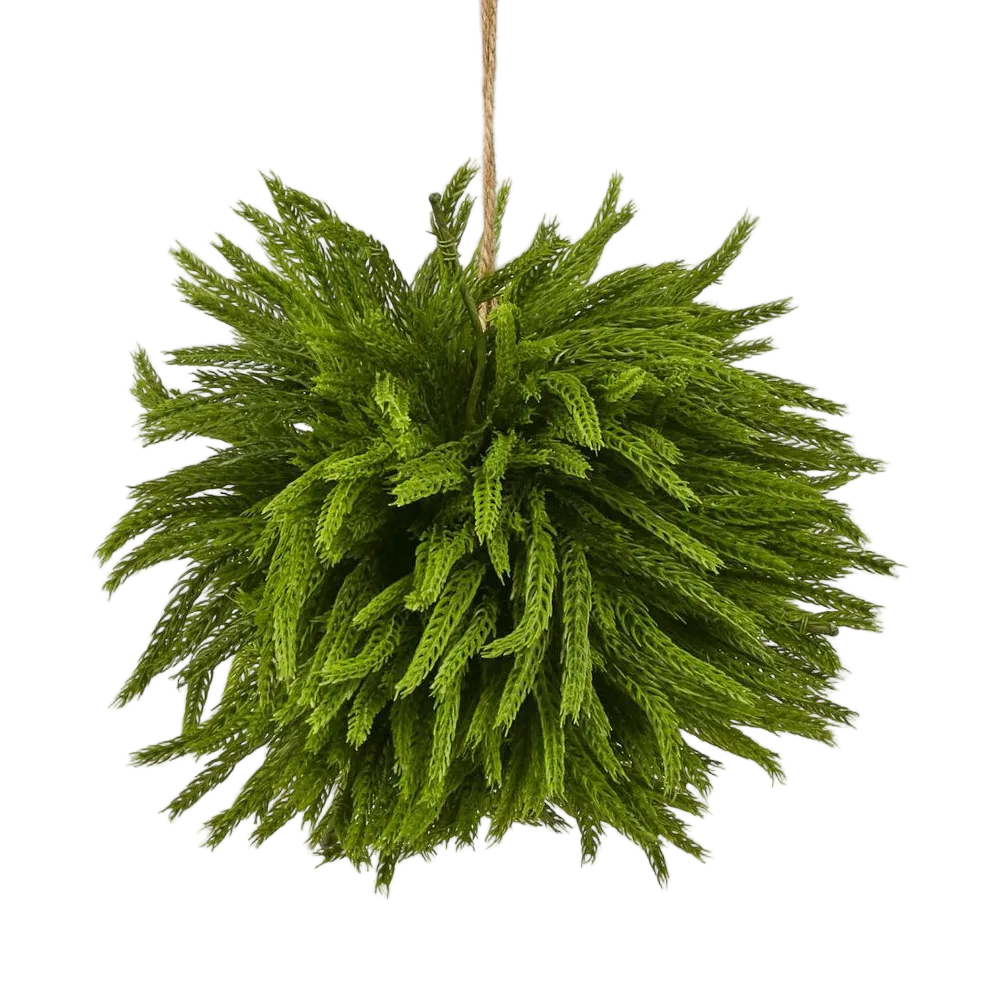 Norfolk Pine Ball Large hanging
