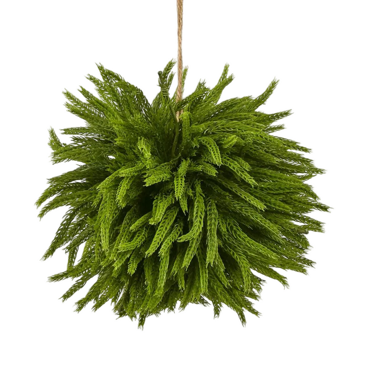 Norfolk Pine Ball Large hanging
