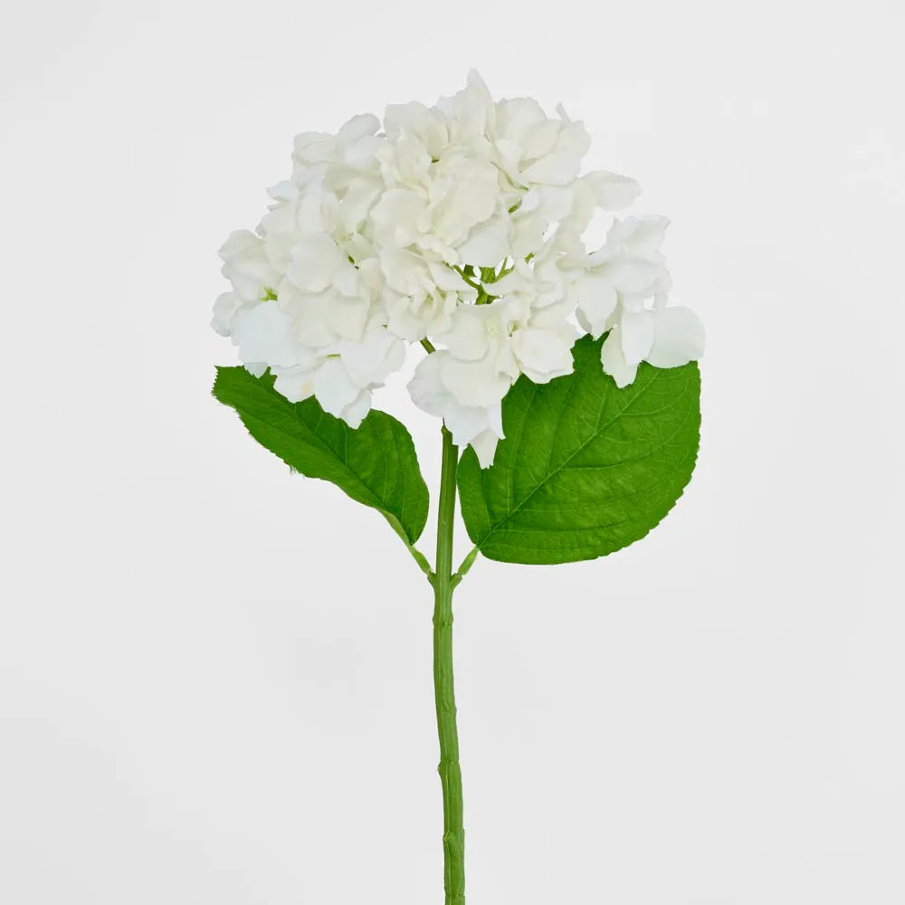 Hydrangea Stem Soft Touch 50cm White