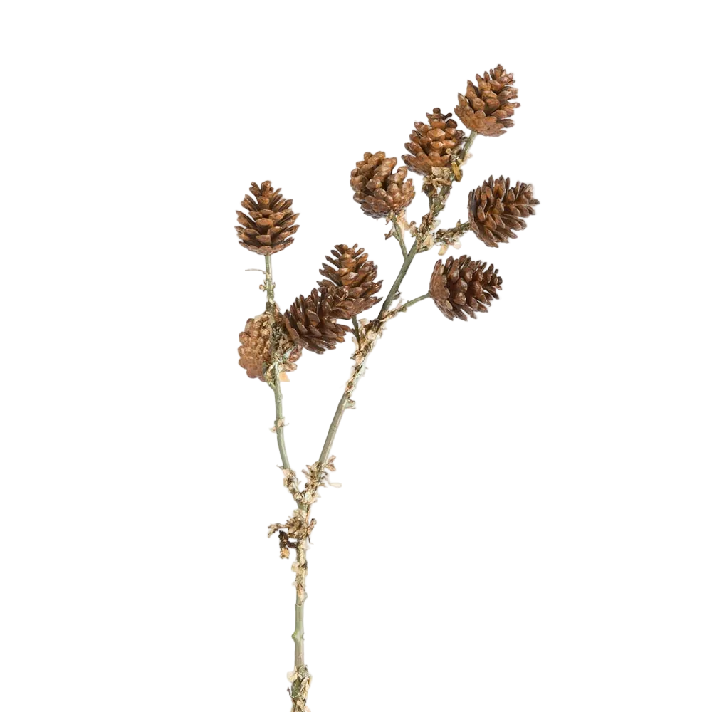 Pine Cone Stem