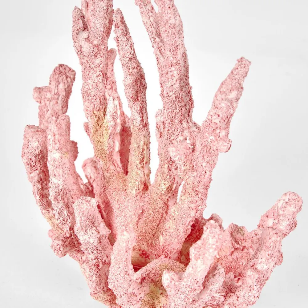 Shelley Pink Coral 15X9X16CM