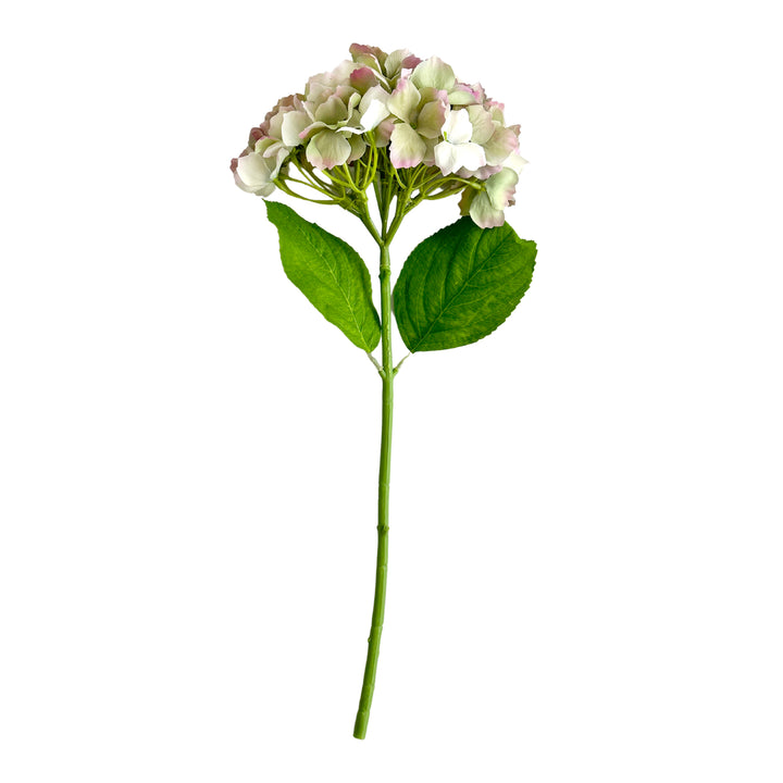 Hydrangea Stem Soft Touch 50cm Green