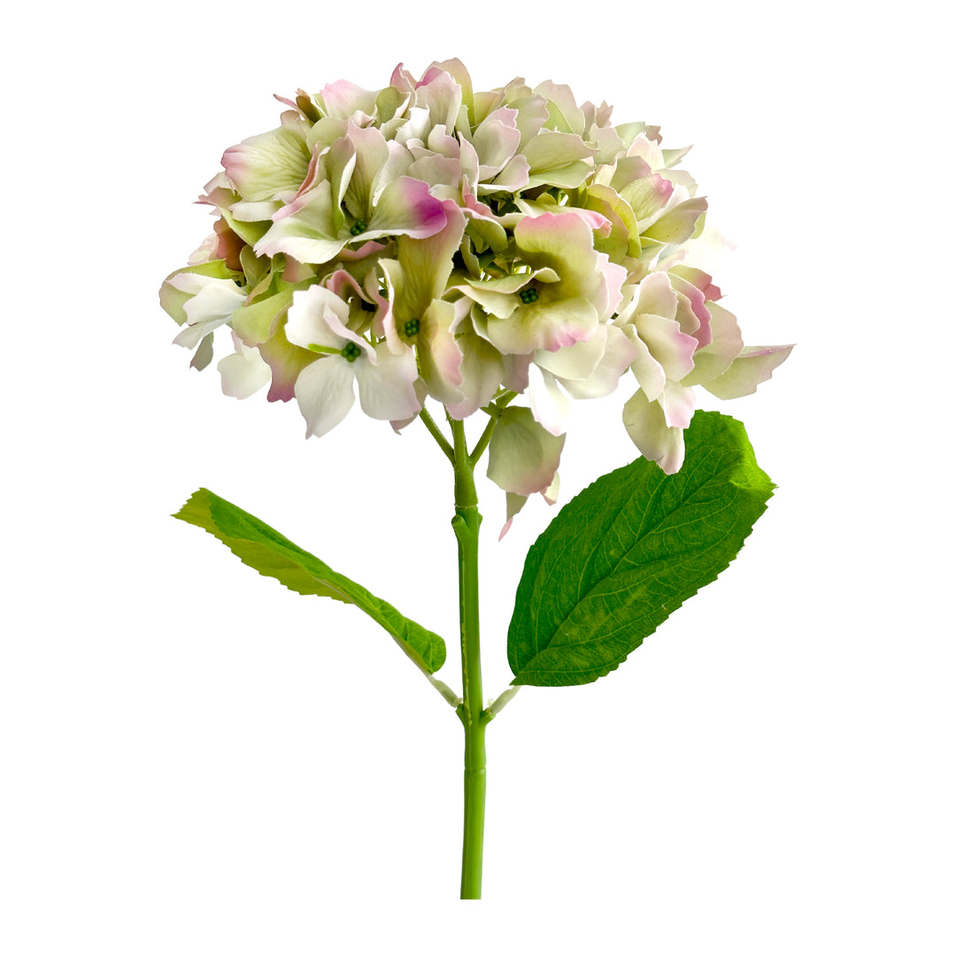 Hydrangea Stem Soft Touch 50cm Green