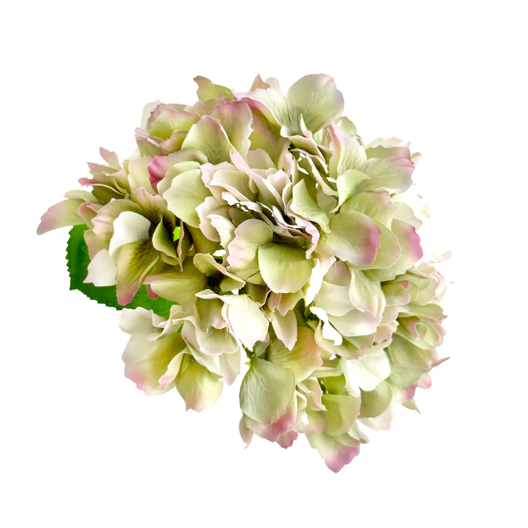 Hydrangea Stem Soft Touch 50cm Green