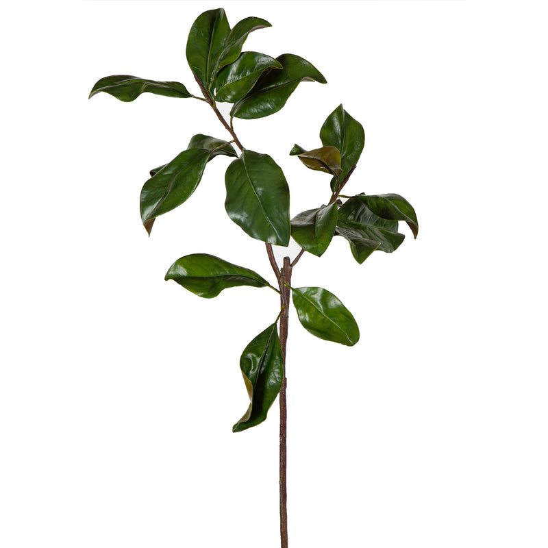 Magnolia Leaves Stem Green 90cm