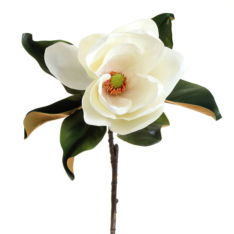 Magnolia Flower Stem 77cm White