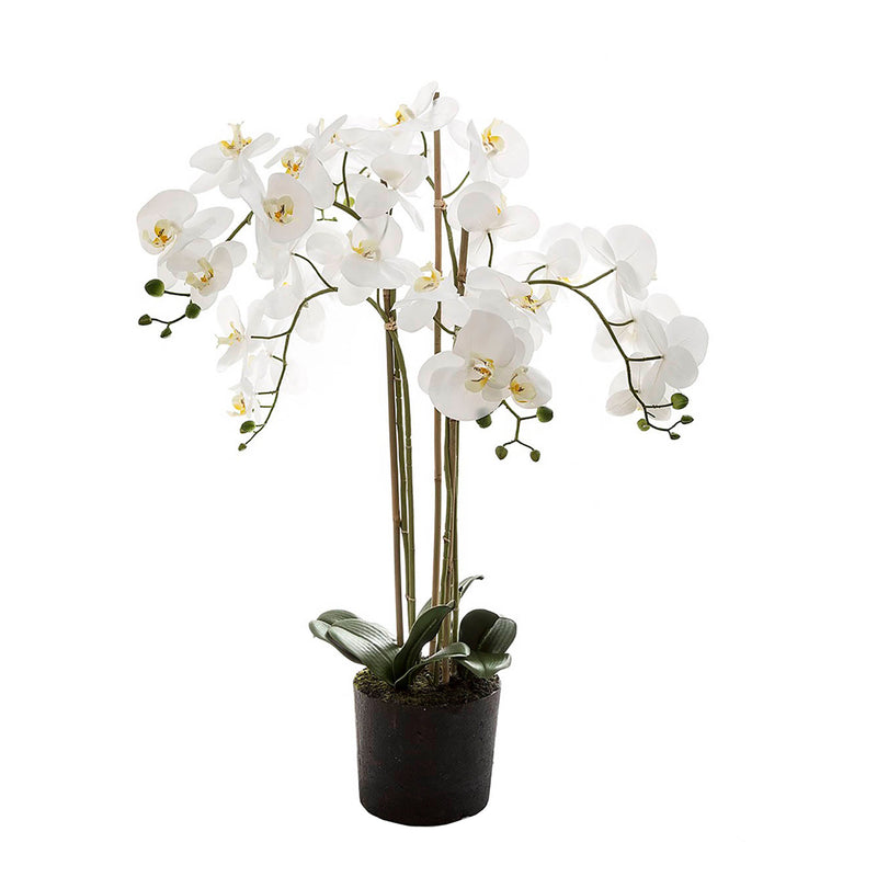 White Orchid Floral Arrangement in Paper Pot 90cm