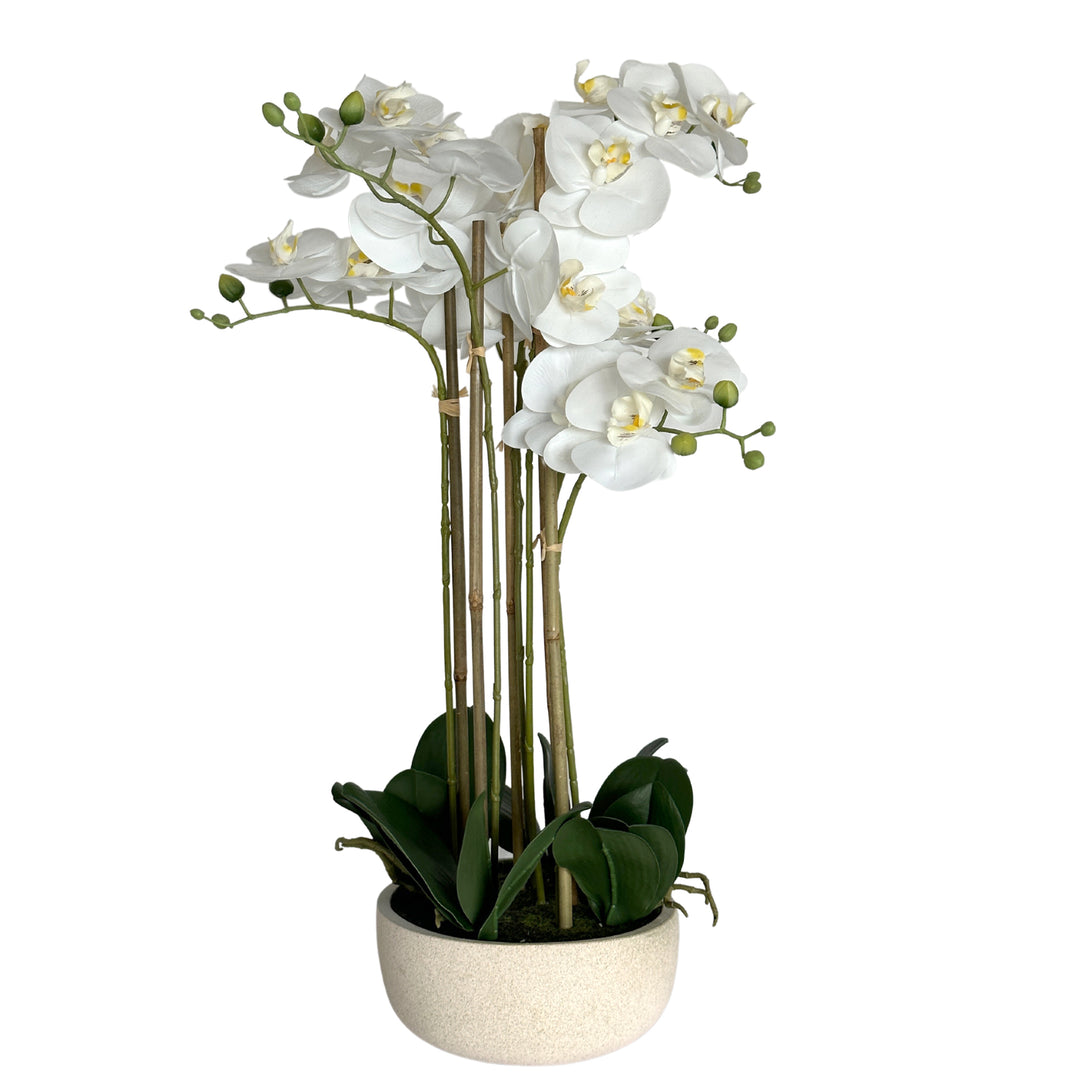 Orchid Potted Real Touch 71cm White