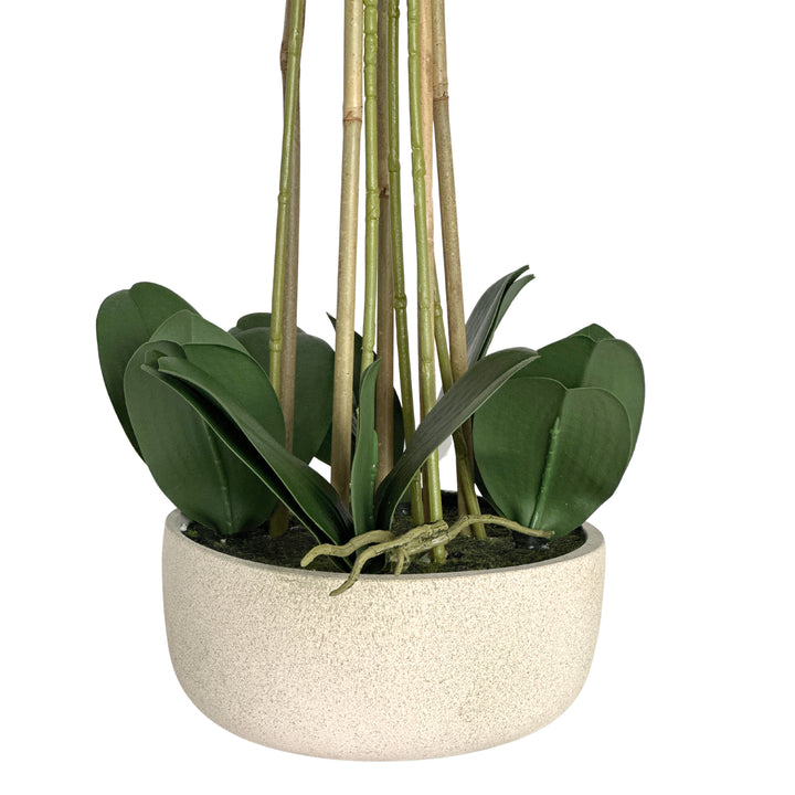 Orchid Potted Real Touch 71cm White