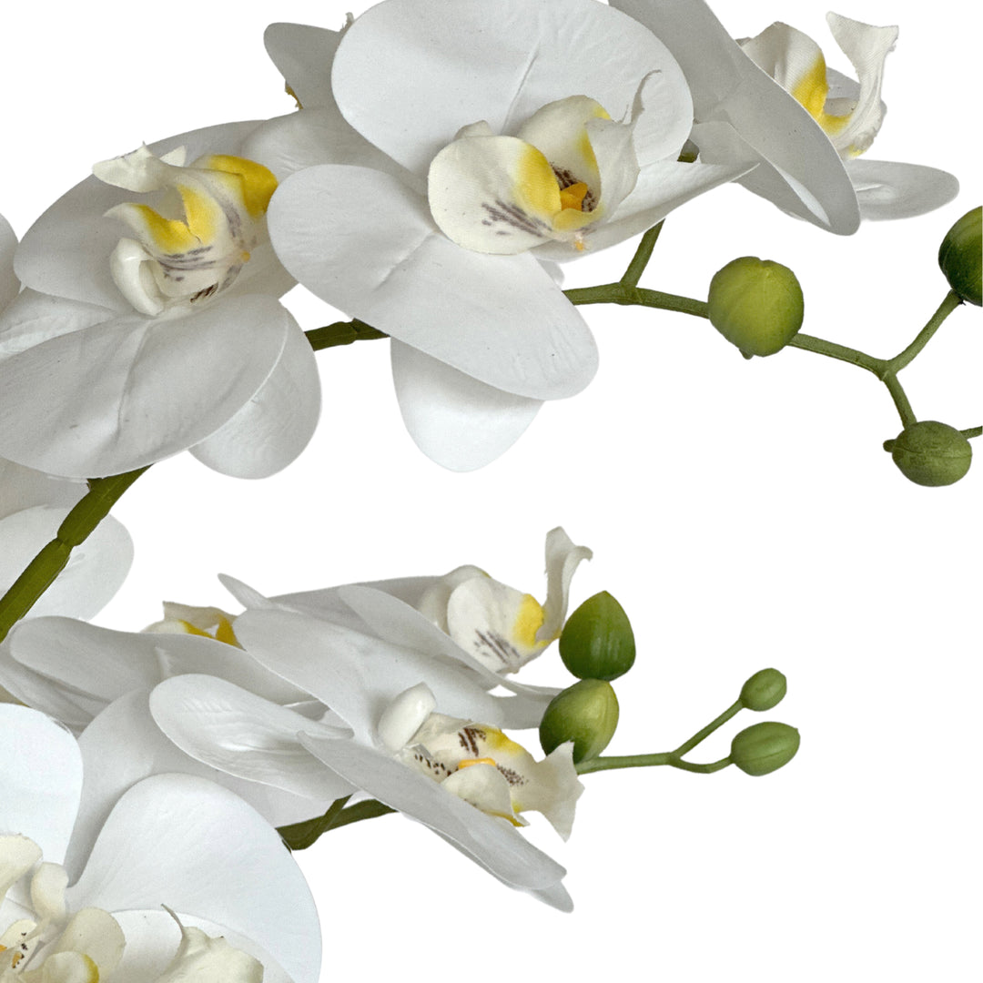 Orchid Potted Real Touch 71cm White