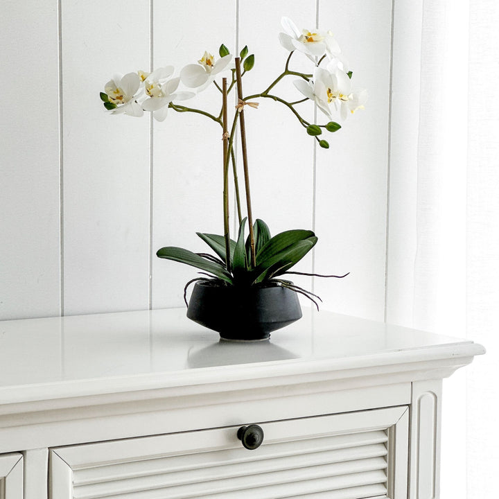 White Orchid in Black Pot Medium