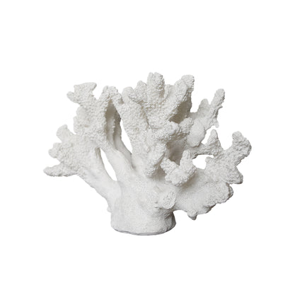 Georgia White Coral Ornament L30cm