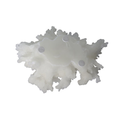 Navagio White Coral Ornament L 18.5 cm
