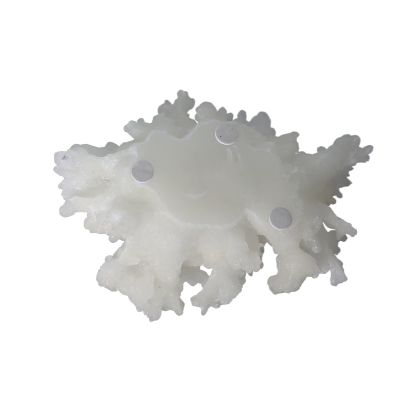 Navagio White Coral Ornament L 18.5 cm