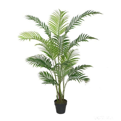 Potted 160Cm Areca - OneWorld Collection