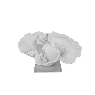 Cape Cod White Coral On Clear Base - OneWorld Collection