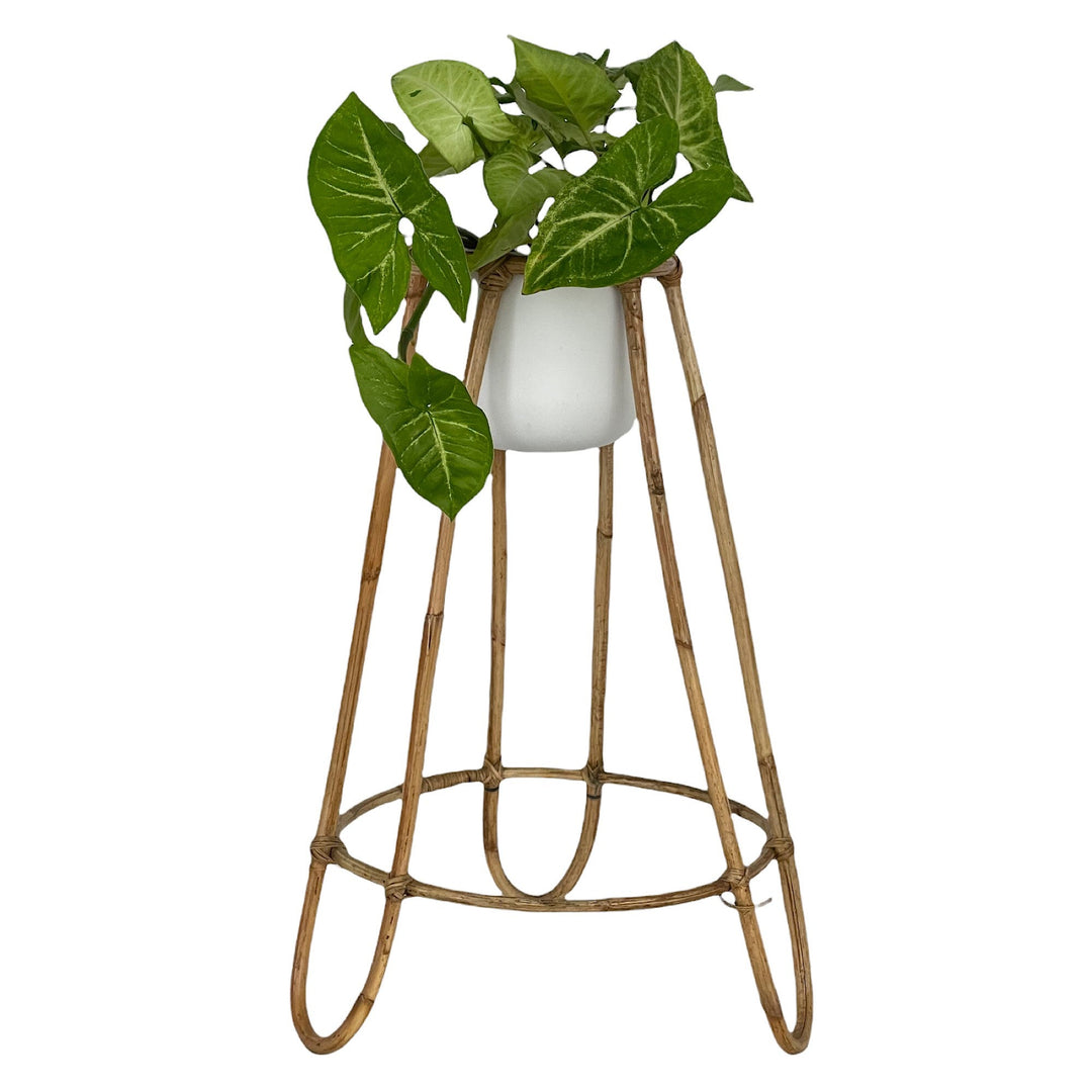 Malibu Rattan Planter with Stand - OneWorld Collection