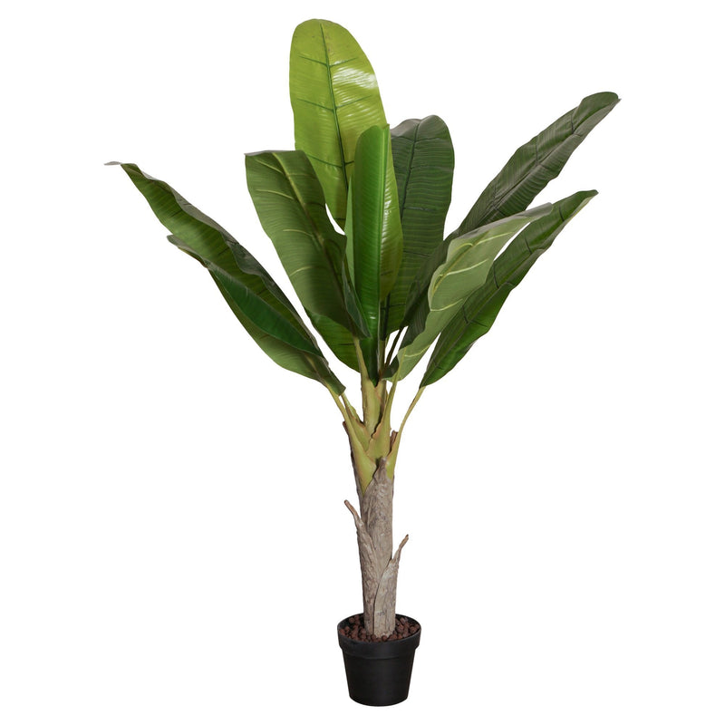 Potted Banana Plant 150Cm - OneWorld Collection