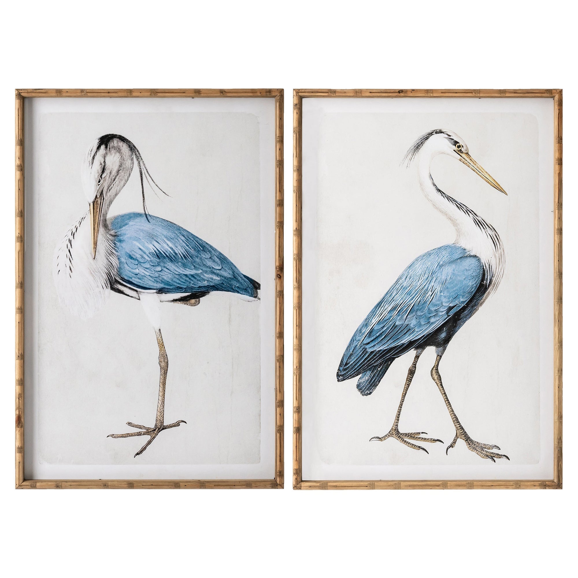 Trinity Beach Sea Birds Wall Art Set of 2 – OneWorld Collection