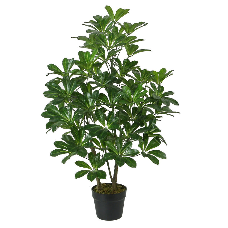 Potted Desert Rose 90cm - OneWorld Collection