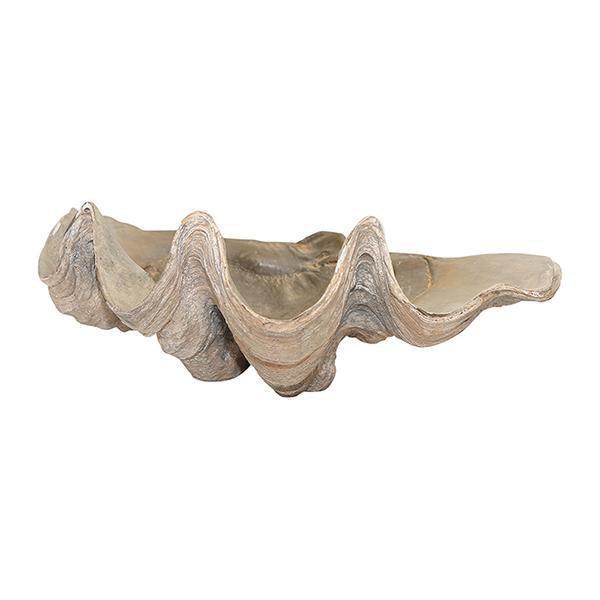 Decorative Clam Shell - OneWorld Collection